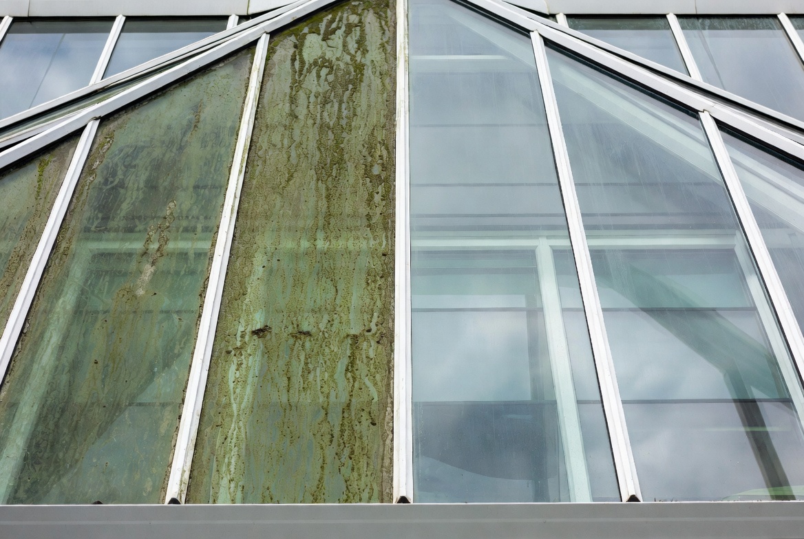 Conservatory roof cleaning Yorkshire.