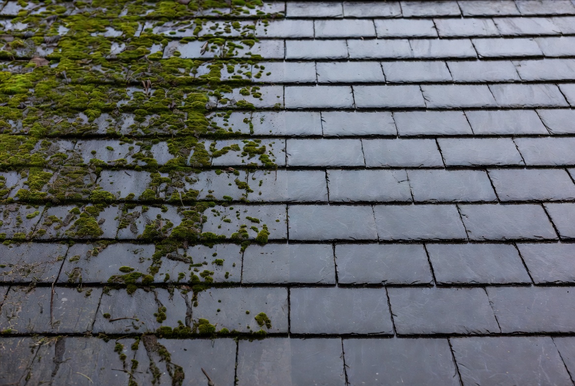 Roof cleaning Yorkshire specialists.